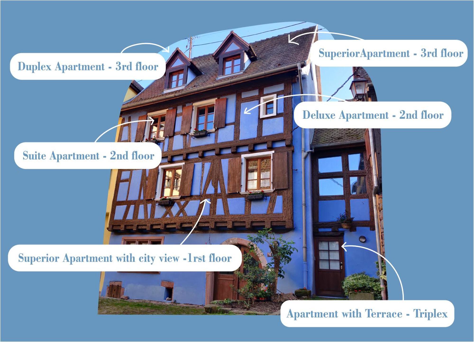 La Maison Bleue - Historic House In The Heart Of Riquewihr Zewnętrze zdjęcie